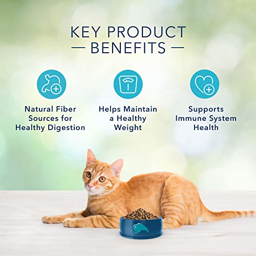 Blue Buffalo Freedom Grain Free Natural Indoor Adult Dry Cat Food, Fish 5-lb.