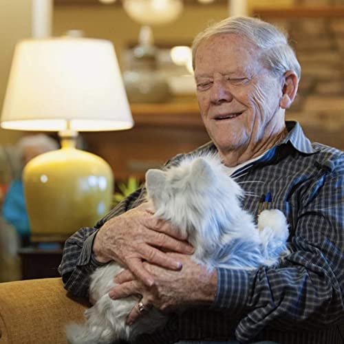 Ageless Innovation | Joy For All Companion Pets | Silver Cat with White Mitts | Lifelike & Realistic | Comfort, Joy & Companionship