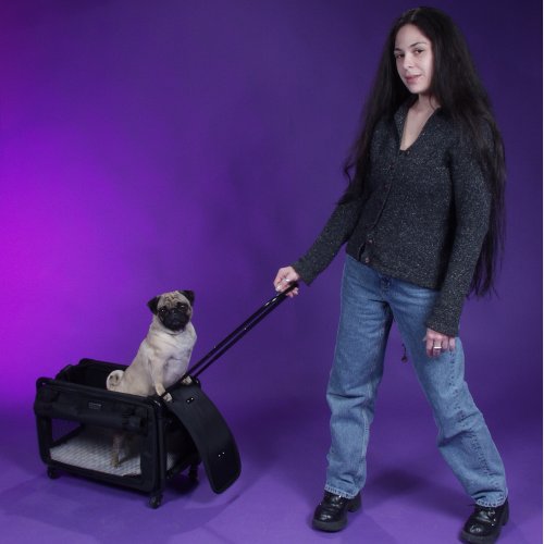 Tutto Medium Pet on Wheels Stroller, 20-Inch, Black