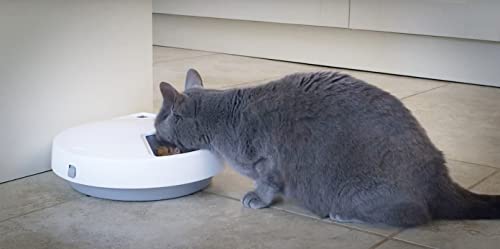 Cat Mate C500 Automatic Pet Feeder with Digital Timer for Cats and Small Dogs