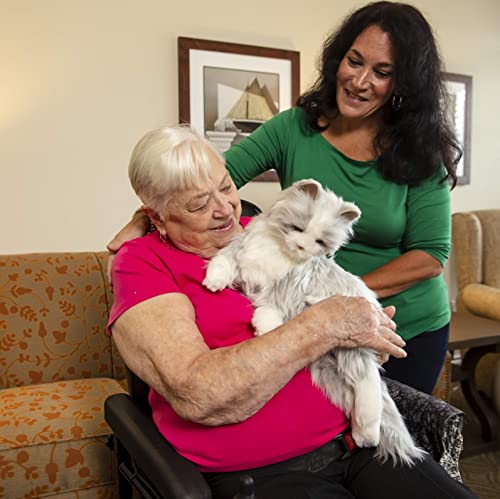 Ageless Innovation | Joy For All Companion Pets | Silver Cat with White Mitts | Lifelike & Realistic | Comfort, Joy & Companionship