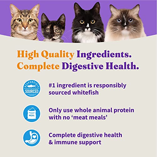 Halo Natural Dry Cat Food Sensitive Stomach Seafood Medley