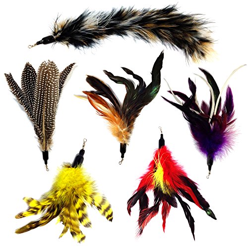 Pet Fit For Life Multi Piece Replacement Feathers Pack Plus Bonus Soft Furry Tail for Interactive Cat and Kitten Toy Wands