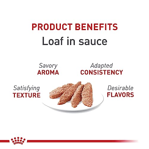 Royal Canin Feline Health Nutrition Adult Instinctive Loaf In Sauce Canned Cat Food, 3 oz Can (Case of 24)