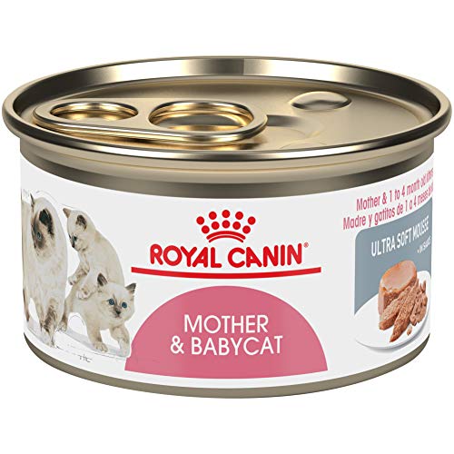 Royal Canin Mother & Babycat Ultra-Soft Mousse in Sauce Wet Cat Food for New Kittens and Nursing or Pregnant Mother Cats, 3 Ounce Can (Pack of 12)