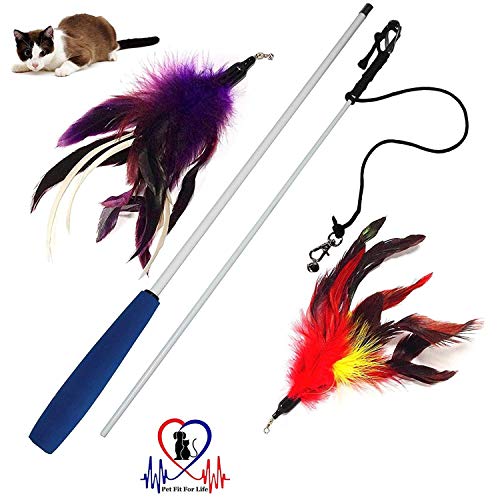 Pet Fit For Life Multi Feather Teaser and Exerciser For Cat and Kitten - Cat Toy Interactive Cat Wand