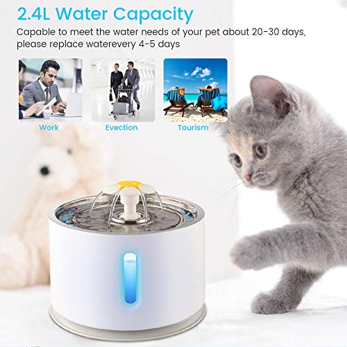 Beacon Pet Cat Water Fountain Stainless Steel, LED 81oz/2.4L Automatic Pet Fountain Dog Water Dispenser with 3 Replacement Filters & 1 Silicone Mat for Cats Dogs Multiple Pets