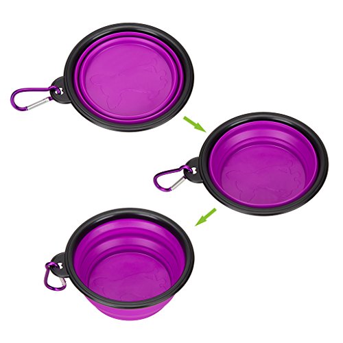 Collapsible Silicone Pet Bowl,set of 2, IDEGG Food Grade Silicone BPA Free, Foldable Expandable Cup Dish for Pet Dog/Cat Food Water Feeding Portable Travel camping Bowl (Set of 2, Purple+Green)