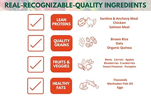 Bench & Field Holistic Natural Feline Treats, 3-Ounce Jars (Pack of 6)