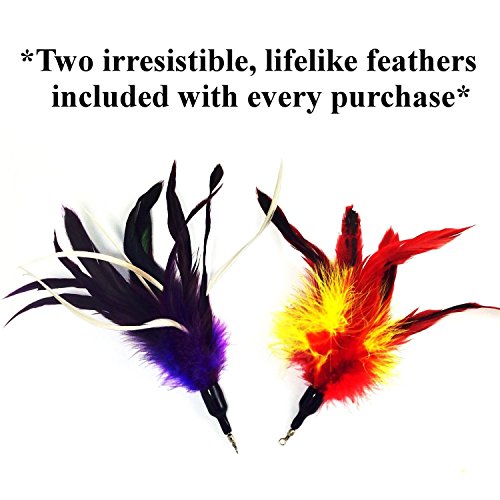 Pet Fit For Life Multi Feather Teaser and Exerciser For Cat and Kitten - Cat Toy Interactive Cat Wand