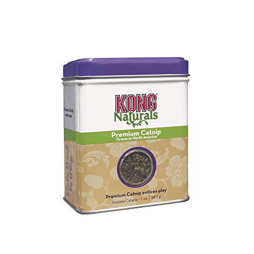 KONG Premium Catnip - North American Grown - 1oz