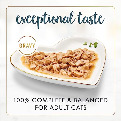 Fancy Feast Gravy Lovers Wet Cat Food, Turkey Feast in Roasted Turkey Flavor Gravy, (24) 3 Oz Cans