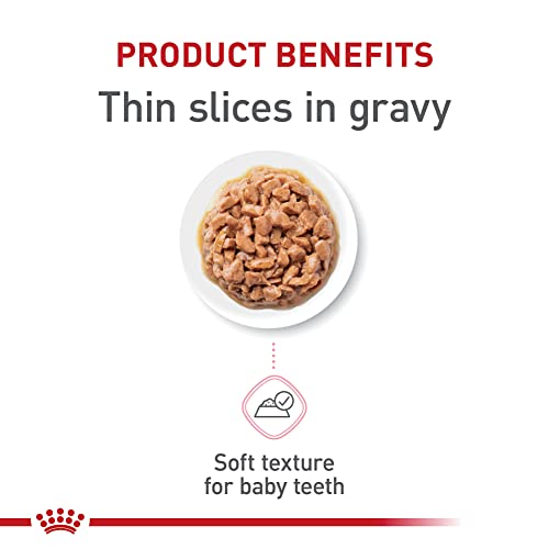 Royal Canin Feline Health Nutrition Kitten Thin Slices In Gravy Canned Cat Food, 3 oz Can (Pack of 24)