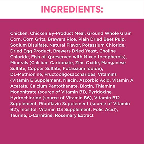 IAMS PROACTIVE HEALTH Adult Urinary Tract Health Dry Cat Food with Chicken, 16 lb. Bag