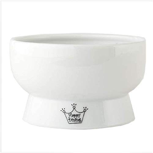 Necoichi Raised Cat Water Bowl, Elevated, with Measurement Lines, Dishwasher and Microwave Safe, No.1 Seller in Japan! (Jelly Bean, Regular)