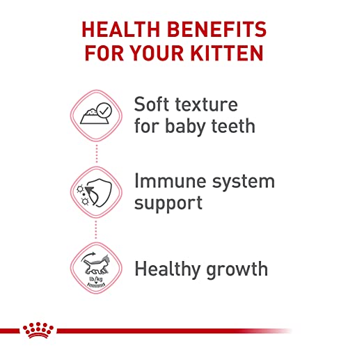 Royal Canin Feline Health Nutrition Kitten Thin Slices In Gravy Canned Cat Food, 3 oz Can (Pack of 24)