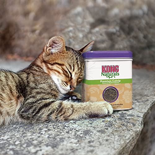 KONG Premium Catnip - North American Grown - 1oz