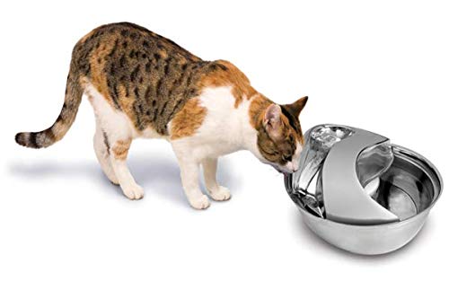 Pioneer Pet Stainless Steel Fountain Raindrop Design , 60oz
