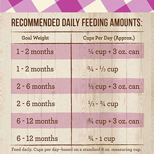 Merrick Purrfect Bistro Healthy Kitten Recipe Dry Cat Food (7 lb)