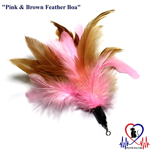 Pet Fit For Life 3 Piece Dual Rod Feather Teaser and Exerciser with a Slithering Snake for Cat and Kitten - Cat Toy Interactive Cat Wand…