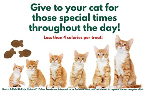 Bench & Field Holistic Natural Feline Treats, 3-Ounce Jars (Pack of 6)