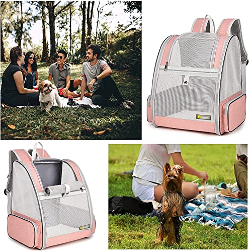 Texsens Innovative Traveler Bubble Backpack Pet Carriers for Cats and Dogs