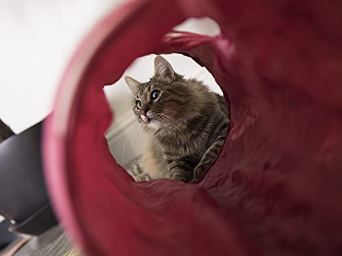 SmartyKat Crackle Chute Collapsible Cat and Dog Tunnel