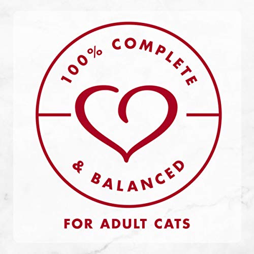 Purina Fancy Feast Wet Cat Food, Medleys Wild Salmon Primavera With Garden Veggies & Greens in Sauce - (24) 3 oz. Cans