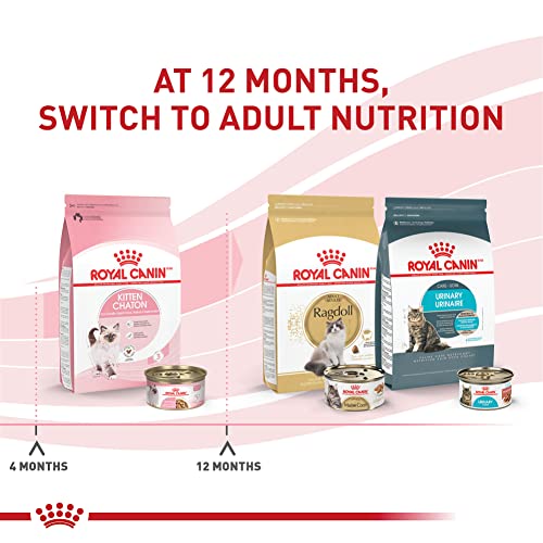 Royal Canin Feline Health Nutrition Kitten Thin Slices In Gravy Canned Cat Food, 3 oz Can (Pack of 24)