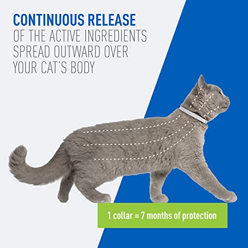 Adams Plus Flea and Tick Collar