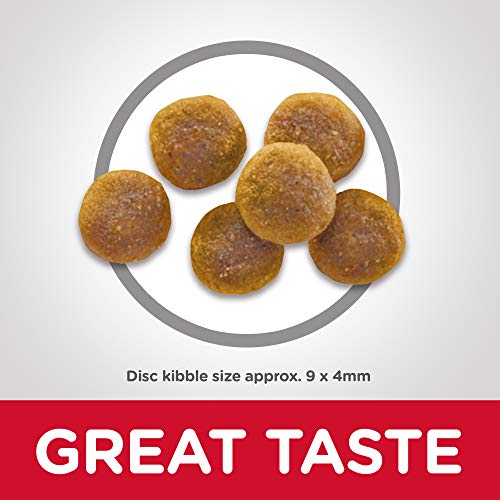 Hill's Science Diet Dry Cat Food, Adult, Chicken Recipe, 16 lb Bag