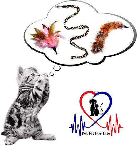Pet Fit For Life 3 Piece Dual Rod Feather Teaser and Exerciser with a Slithering Snake for Cat and Kitten - Cat Toy Interactive Cat Wand…