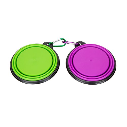 Collapsible Silicone Pet Bowl,set of 2, IDEGG Food Grade Silicone BPA Free, Foldable Expandable Cup Dish for Pet Dog/Cat Food Water Feeding Portable Travel camping Bowl (Set of 2, Purple+Green)