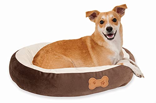 Aspen Pet Oval Cuddler Pet Bed, 20-Inch by 16-Inch, Chocolate Brown