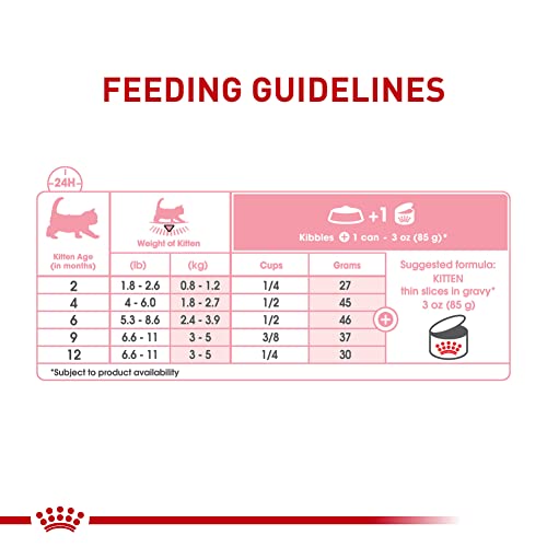 Royal Canin Feline Health Nutrition Kitten Thin Slices In Gravy Canned Cat Food, 3 oz Can (Pack of 24)