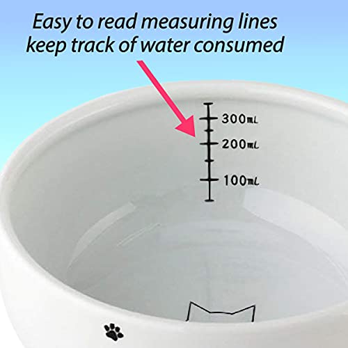 Necoichi Raised Cat Water Bowl (Cat)