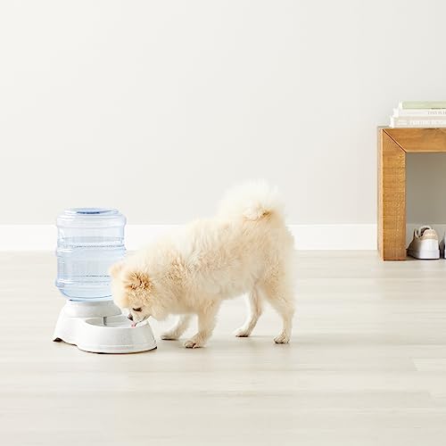 AmazonBasics Gravity Pet Water Dispenser, Small (1-Gallon Capacity)
