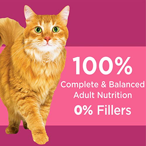 IAMS PROACTIVE HEALTH Adult Urinary Tract Health Dry Cat Food with Chicken, 16 lb. Bag