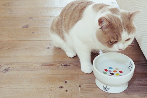 Necoichi Raised Cat Water Bowl, Elevated, with Measurement Lines, Dishwasher and Microwave Safe, No.1 Seller in Japan! (Jelly Bean, Regular)
