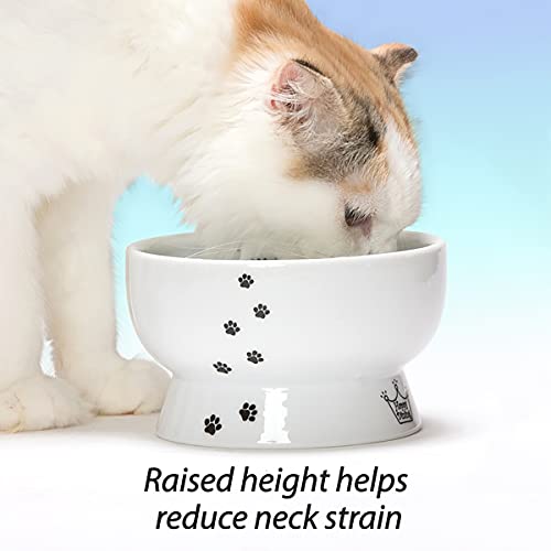 Necoichi Raised Cat Water Bowl (Cat)