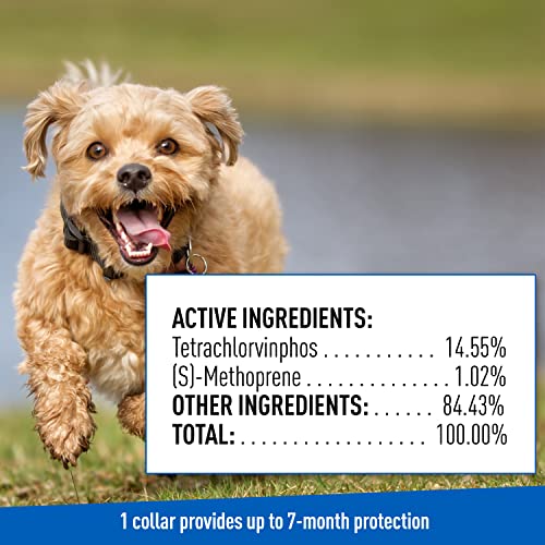 Adams Plus Flea & Tick Collar for Dogs, 7-Month Protection, Adjustable Collar Fits Small Dogs & Puppies, Kills & Repels Fleas, Flea Eggs, Flea Larvae, and Ticks, Kills Tick Larvae and Tick Nymphs
