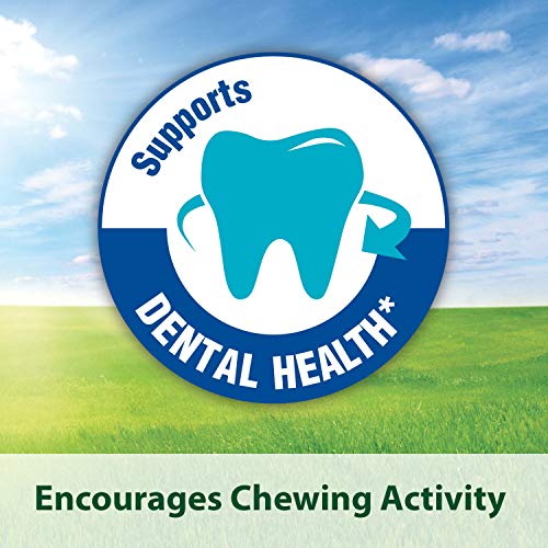 Kaytee Timothy Biscuits Baked Apple Treat, 4oz bag