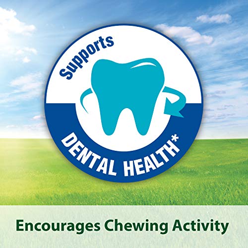 Kaytee Timothy Biscuits Baked Apple Treat, 4oz bag