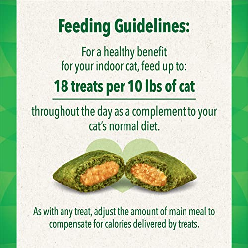 Healthy Indoor Chicken Flavor Cat Treats - 2.1 oz