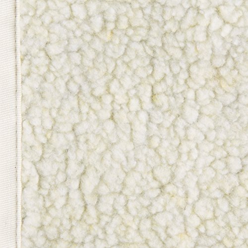 AmazonBasics Soft-Sided Pet Travel Carrier