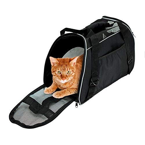 Top Rated Cat Carriers to Buy