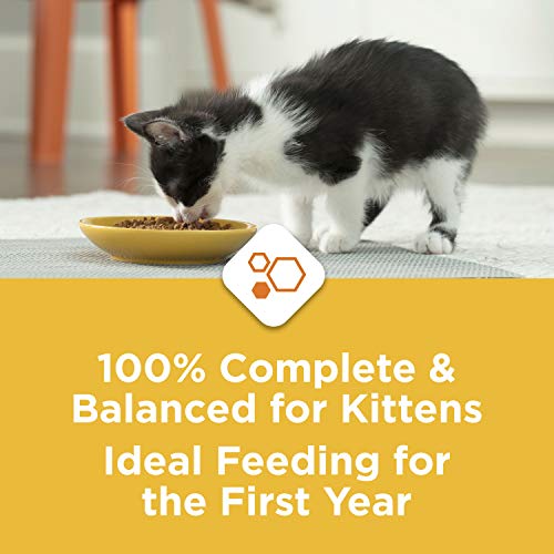 Purina Kitten Chow Dry Kitten Food, Nurture - (4) 3.15 lb. Bags
