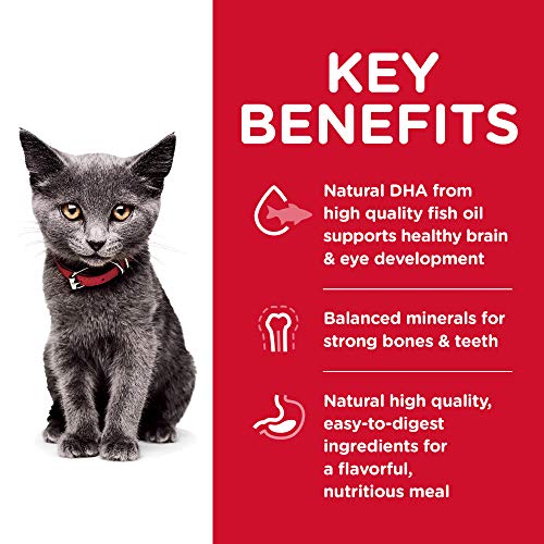Hill's Science Diet Dry Cat Food, Kitten, Indoor, Chicken Recipe, 3.5 lb Bag