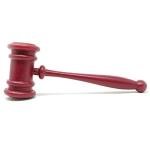 Judge Gavel Costume Accessory for Pickleball Fun