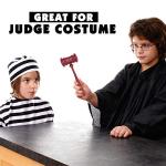 Judge Gavel Costume Accessory for Pickleball Fun